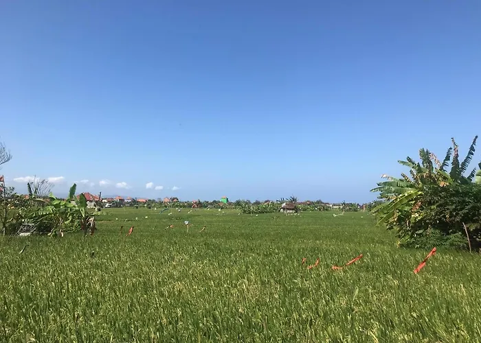 Niti * ケテウェル